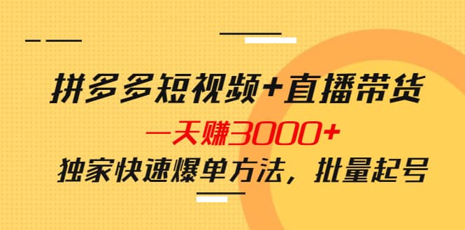 拼多多短视频 直播带货，一天赚3000 独家快速爆单方法，批量起号-优优资源网