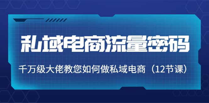 私域电商流量密码：千万级大佬教您如何做私域电商（12节课）-优优资源网