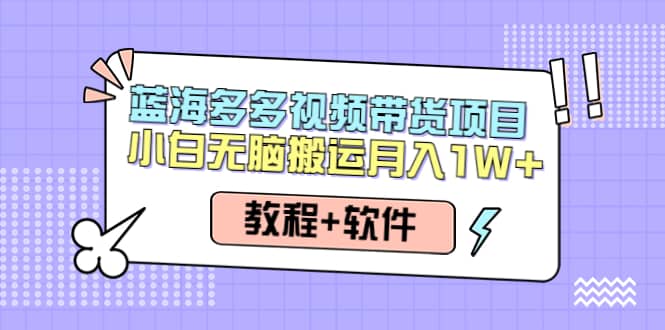 人人都能操作的蓝海多多视频带货项目 小白无脑搬运（教程 软件）-优优资源网