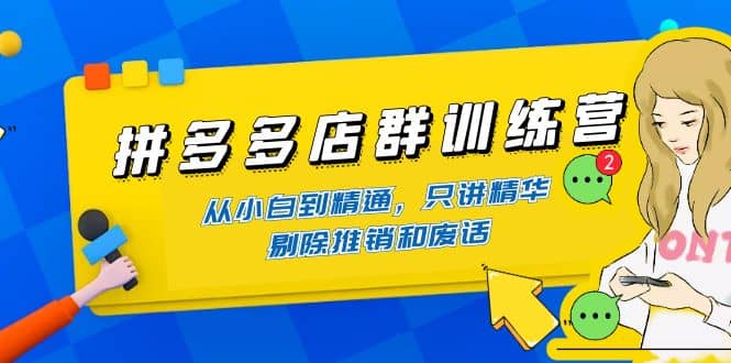 拼多多店群训练营：从小白到精通，只讲精华，剔除推销和废话-优优资源网