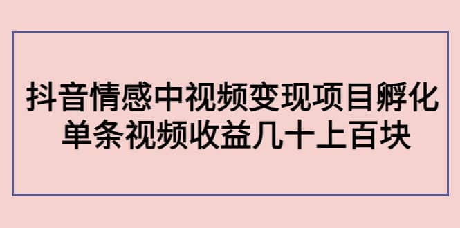 抖音情感中视频变现项目孵化-优优资源网