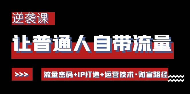 让普通人自带流量的逆袭课：流量密码 IP打造 运营技术·财富路径-优优资源网