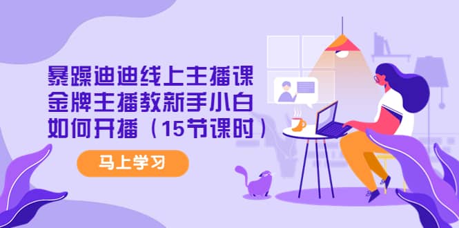 暴躁迪迪线上主播课，金牌主播教新手小白如何开播（15节课时）-优优资源网