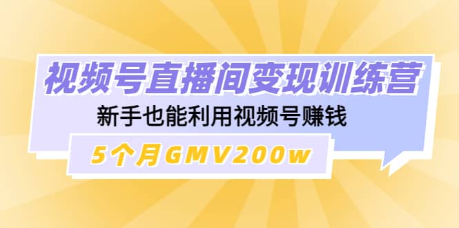 视频号直播间变现训练营-优优资源网