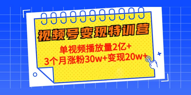 20天视频号变现特训营：单视频播放量2亿-优优资源网