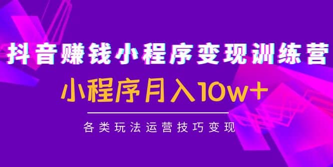 抖音小程序变现训练营：小程序各类玩法运营技巧变现-优优资源网