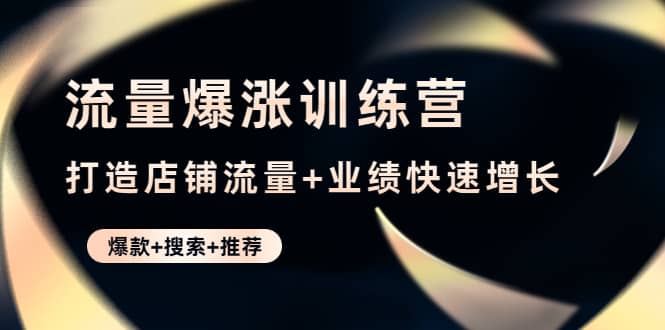流量爆涨训练营：打造店铺流量 业绩快速增长 (爆款 搜索 推荐)-优优资源网