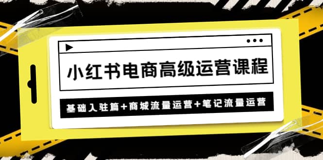 小红书电商高级运营课程：基础入驻篇 商城流量运营 笔记流量运营-优优资源网