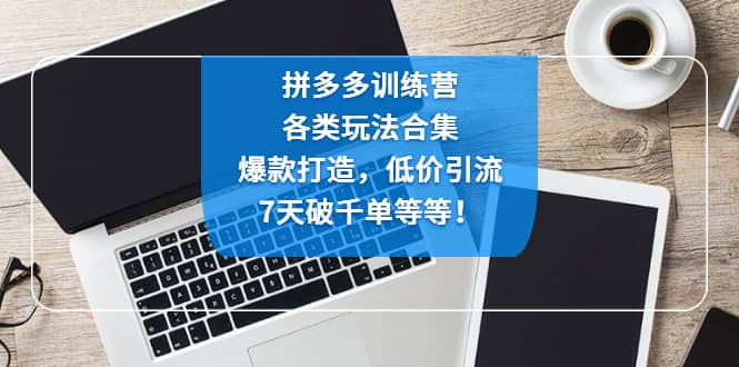 拼多多训练营：各玩法合集，爆款打造，低价引流，7天破千单等等-优优资源网