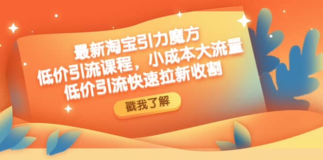 最新淘宝引力魔方低价引流实操：小成本大流量-优优资源网