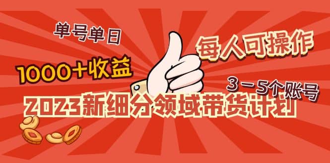 2023新细分领域带货计划：单号单日1000 收益不难，每人可操作3-5个账号-优优资源网