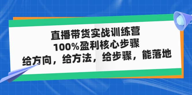 直播带货实战训练营：100%盈利核心步骤，给方向，给方法，给步骤，能落地-优优资源网