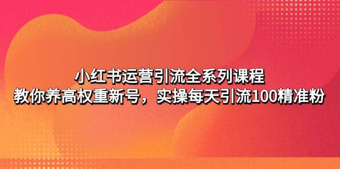 小红书运营引流全系列课程：教你养高权重新号-优优资源网