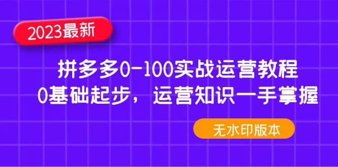 2023拼多多0-100实战运营教程，0基础起步，运营知识一手掌握（无水印）-优优资源网
