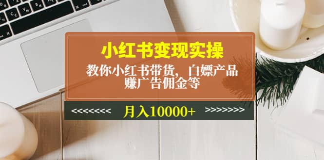 小红书变现实操：教你小红书带货，白嫖产品，赚广告佣金等-优优资源网