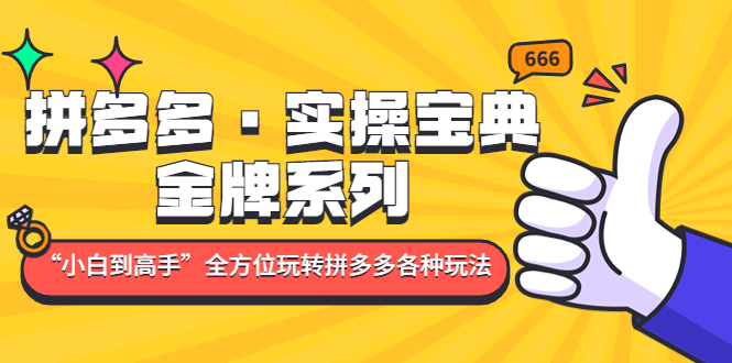 拼多多·实操宝典：金牌系列“小白到高手”带你全方位玩转拼多多各种玩法-优优资源网