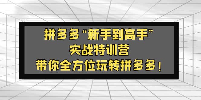 拼多多“新手到高手”实战特训营：带你全方位玩转拼多多-优优资源网