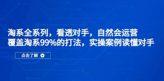 淘系全系列，看透对手，自然会运营，覆盖淘系99%·打法，实操案例读懂对手-优优资源网