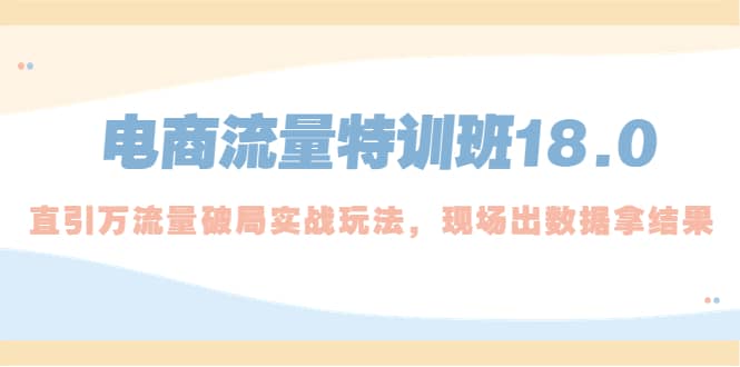 电商流量特训班18.0，直引万流量破局实操玩法，现场出数据拿结果-优优资源网