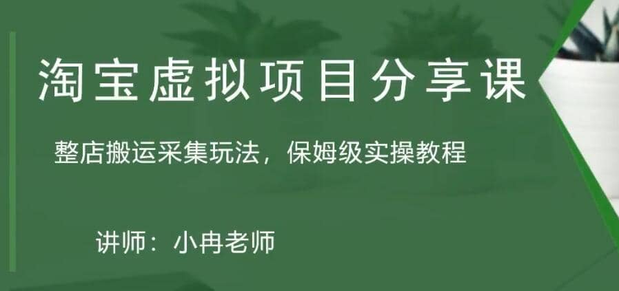 淘宝虚拟整店搬运采集玩法分享课：整店搬运采集玩法，保姆级实操教程-优优资源网