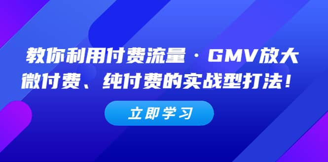 教你利用付费流量·GMV放大，微付费、纯付费的实战型打法-优优资源网