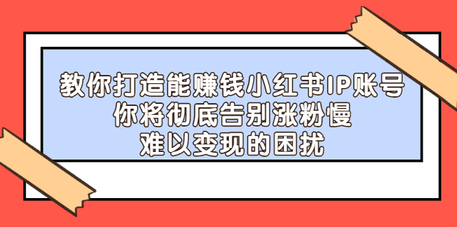 教你打造能赚钱小红书IP账号，了解透彻小红书的真正玩法-优优资源网