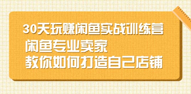 30天玩赚闲鱼实战训练营，闲鱼专业卖家教你如何打造自己店铺-优优资源网