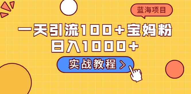 一天引流100 宝妈粉，日入1000 的蓝海项目（实战教程）-优优资源网