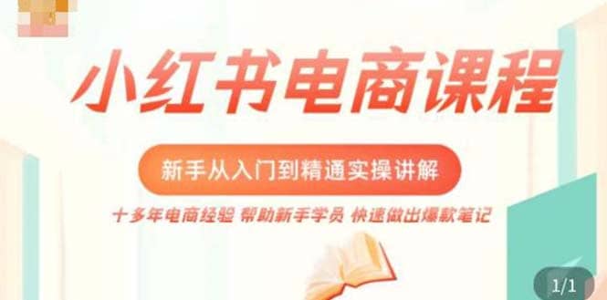 小红书电商新手入门到精通实操课，从入门到精通做爆款笔记，开店运营-优优资源网