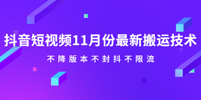 抖音短视频11月份最新搬运技术，不降版本不封抖不限流！【视频课程】-优优资源网