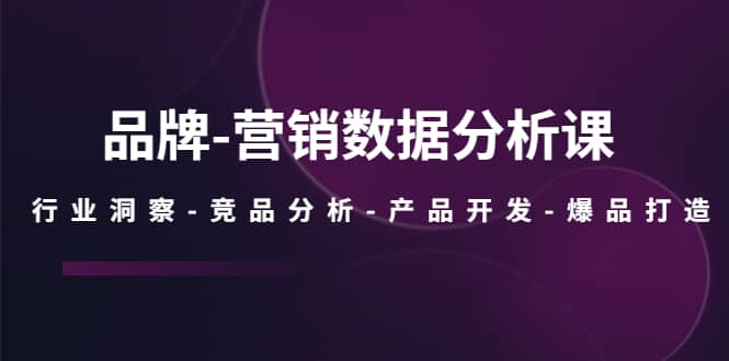 品牌-营销数据分析课，行业洞察-竞品分析-产品开发-爆品打造-优优资源网
