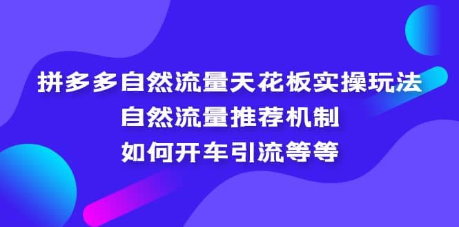 拼多多自然流量天花板实操玩法：自然流量推荐机制，如何开车引流等等-优优资源网