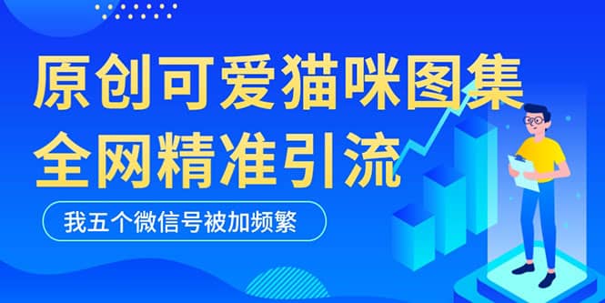 黑科技纯原创可爱猫咪图片，全网精准引流，实操5个VX号被加频繁-优优资源网