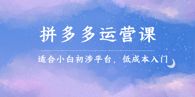 拼多多运营课，适合小白初涉平台，低成本入门-优优资源网