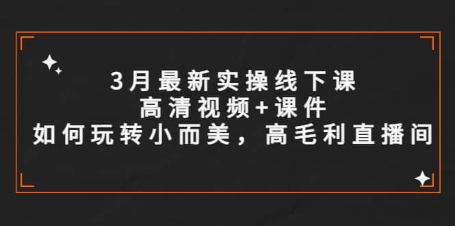 3月最新实操线下课高清视频 课件，如何玩转小而美，高毛利直播间-优优资源网