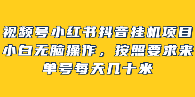 视频号小红书抖音挂机项目，小白无脑操作，按照要求来，单号每天几十米-优优资源网