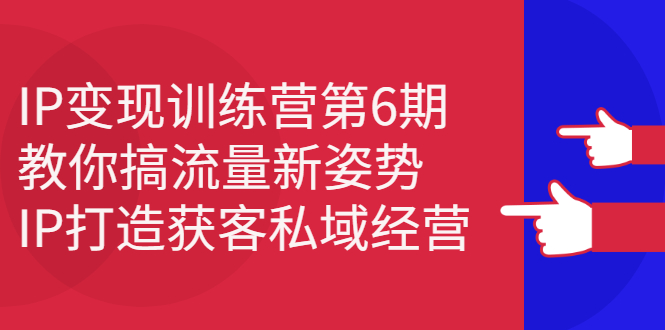 IP变现训练营第6期：教你搞流量新姿势，IP打造获客私域经营-优优资源网