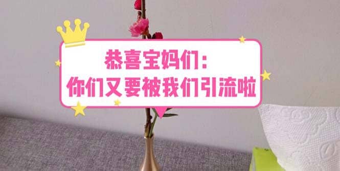 恭喜宝妈们：你们又要被我们引流了（教程 222g资料）-优优资源网