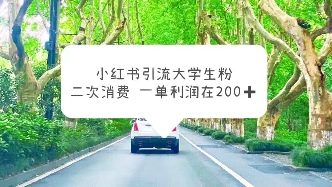 小红书引流大学生粉，变现项目，一单利润在200 （教程 资源）-优优资源网