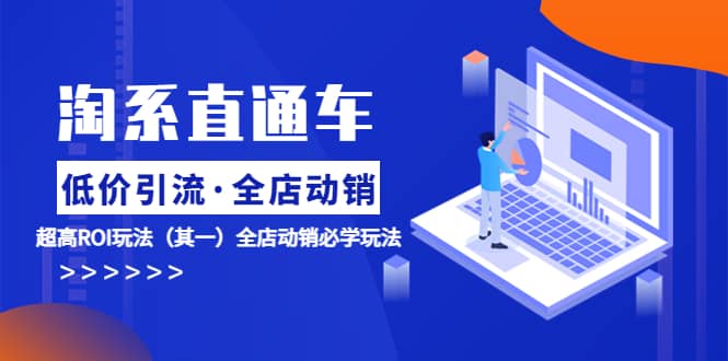 淘系直通车《低价·引流 全店·动销》超高ROI玩法（其一）全店动销必学玩法-优优资源网
