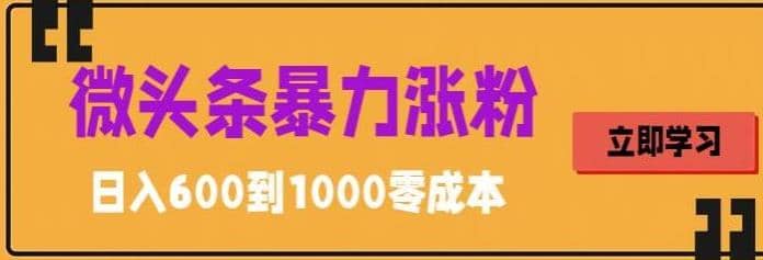 微头条暴力涨粉技巧搬运文案就能涨几万粉丝，简单0成本，日赚600-优优资源网