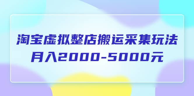 淘宝虚拟整店搬运采集玩法分享课：月入2000-5000元（5节课）-优优资源网