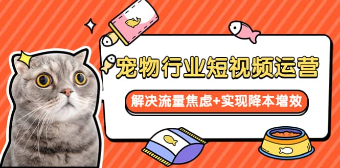 宠物/行业短视频运营 流量增长的一层窗户纸 解决流量焦虑 实现降本增效-优优资源网