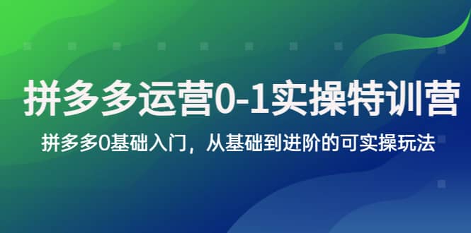 拼多多-运营0-1实操训练营，拼多多0基础入门，从基础到进阶的可实操玩法-优优资源网
