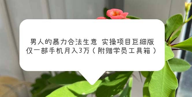 男人的暴力合法生意实操项目巨细版：仅一部手机月入3w（附赠学员工具箱）-优优资源网