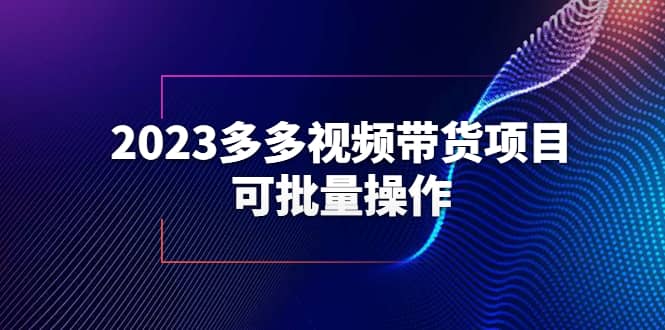 2023多多视频带货项目，可批量操作【保姆级教学】-优优资源网
