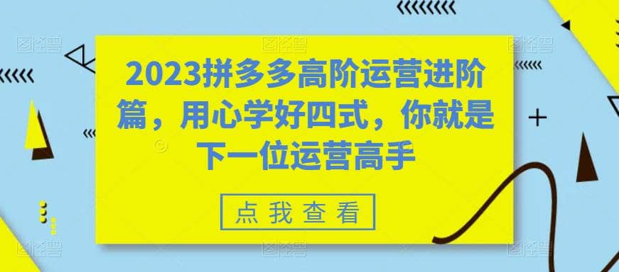 2023拼多多高阶运营进阶篇，用心学好四式，你就是下一位运营高手-优优资源网