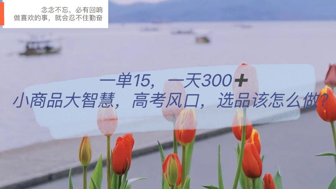 一单15，一天300 ，小商品大智慧，高考风口，选品该怎么布局-优优资源网