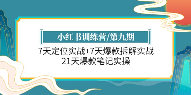 小红书训练营/第九期：7天定位实战 7天爆款拆解实战，21天爆款笔记实操-优优资源网