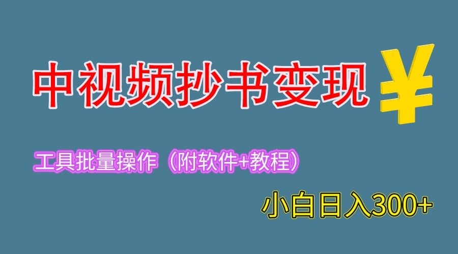 2023中视频抄书变现（附工具 教程），一天300 ，特别适合新手操作的副业-优优资源网
